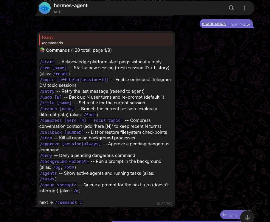 Hermes Agent Telegram Bot Interface